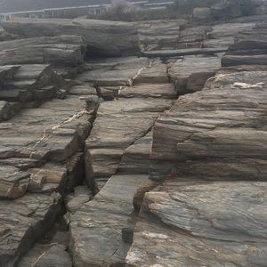 Meet your Posher, Colin